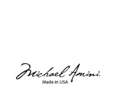 MICHAEL AMINI