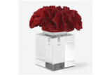RED CORAL CLUSTER