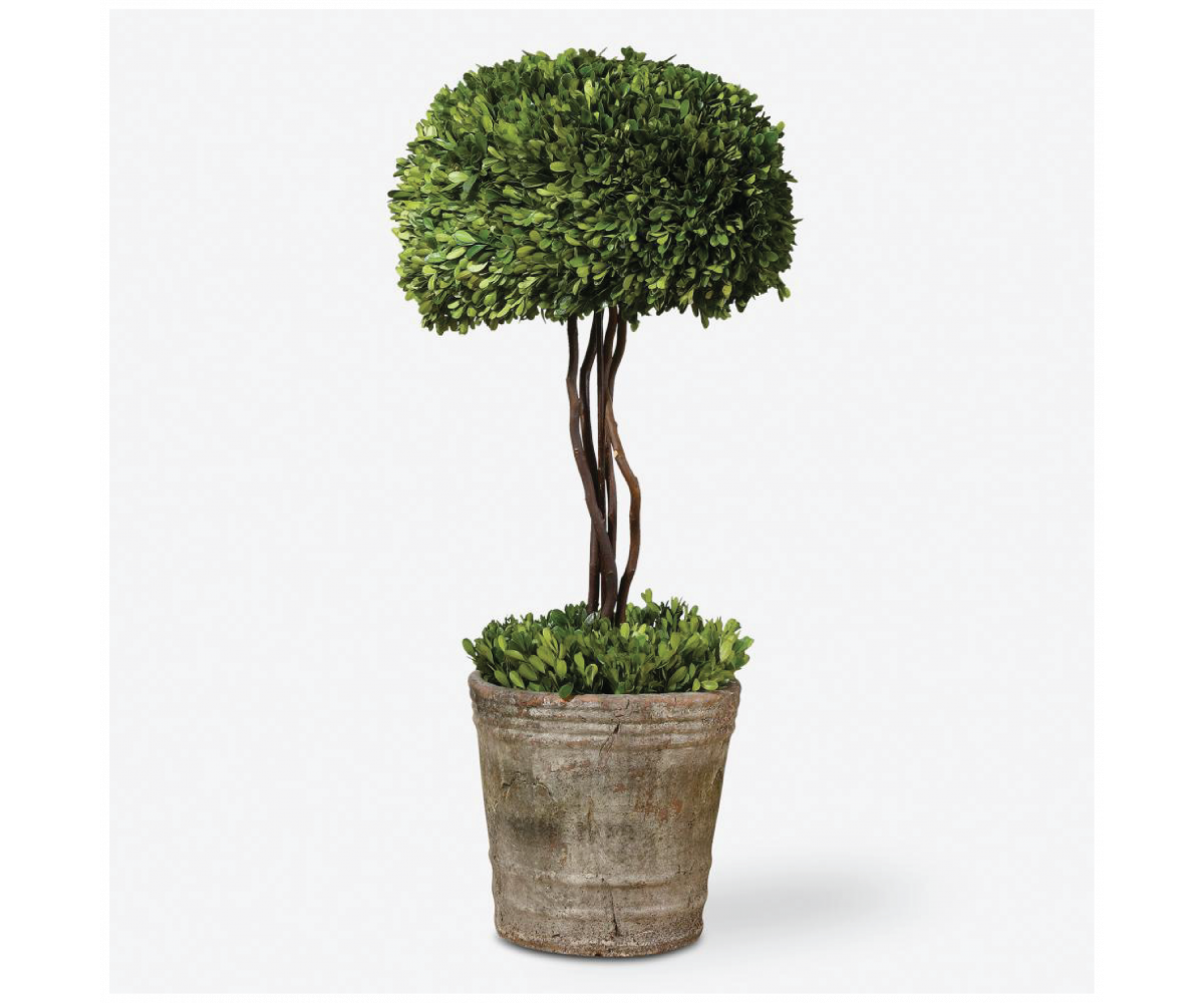  TOPIARY