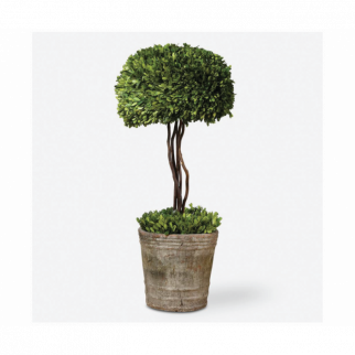  TOPIARY