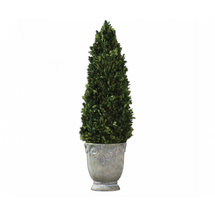 CONE TOPIARY