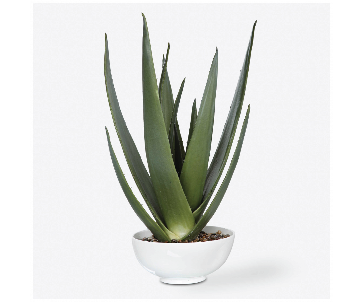 EVARADO ALOE